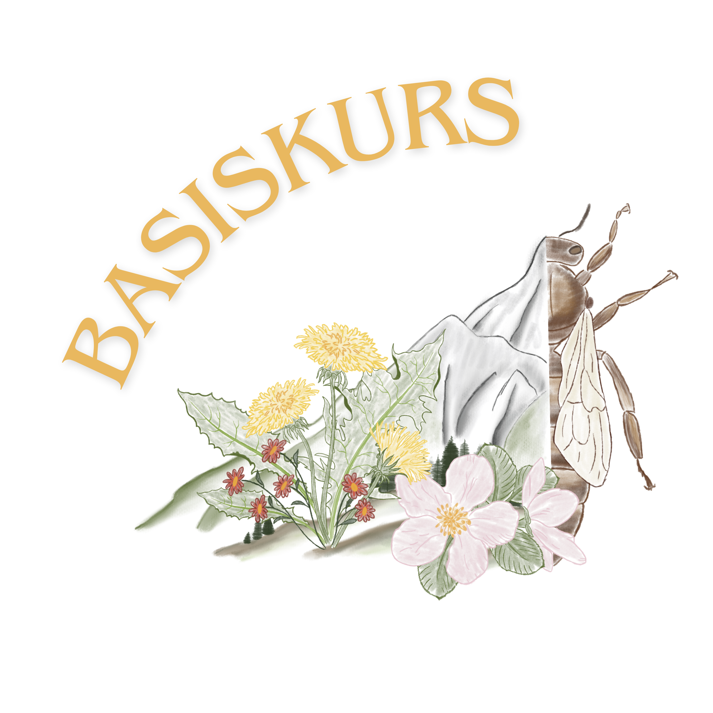 Basiskurs "Grundlagen der naturnahen Bienenhaltung" - Lorenz H.