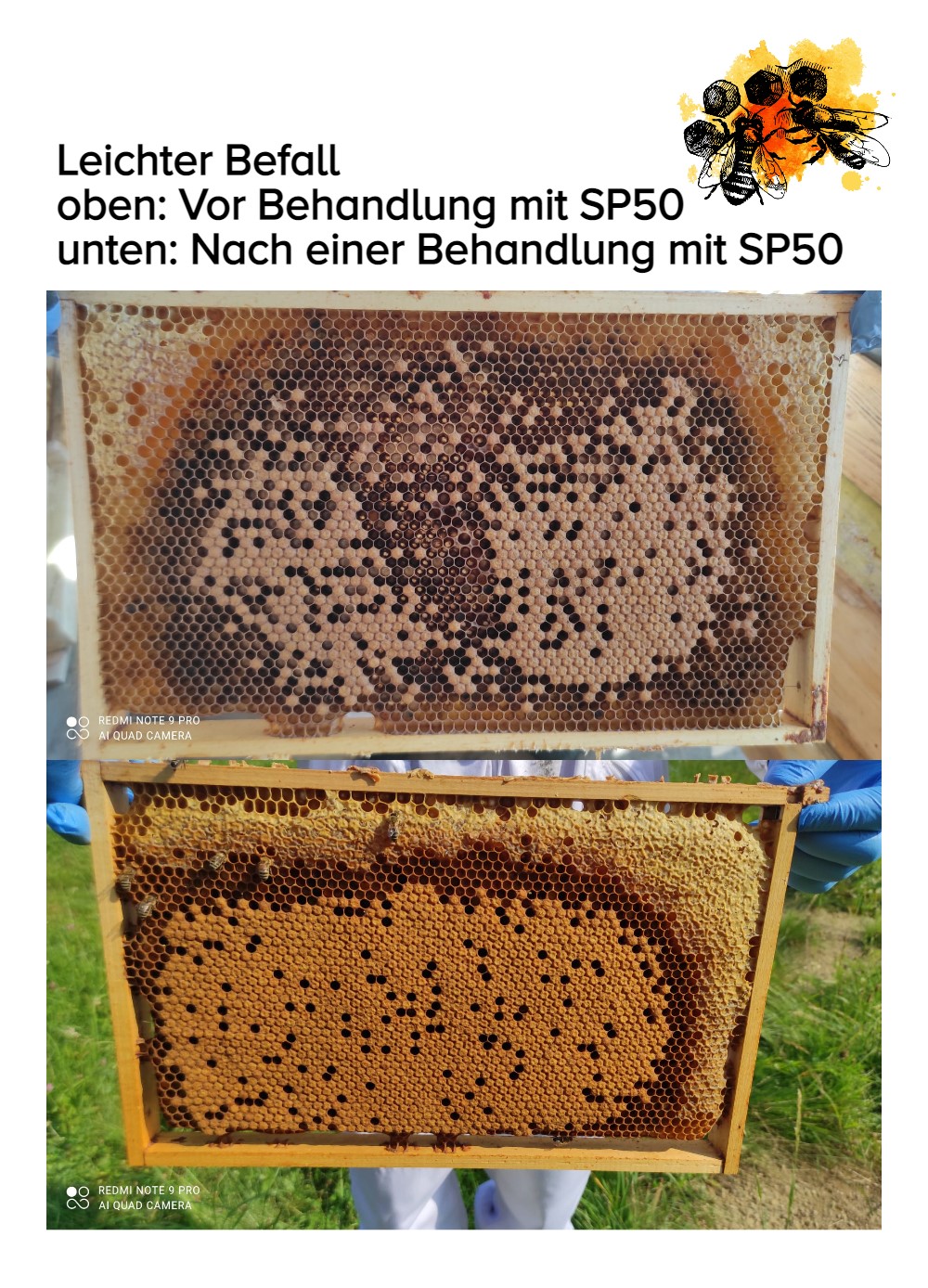 SP50 Bienenpflegemittel