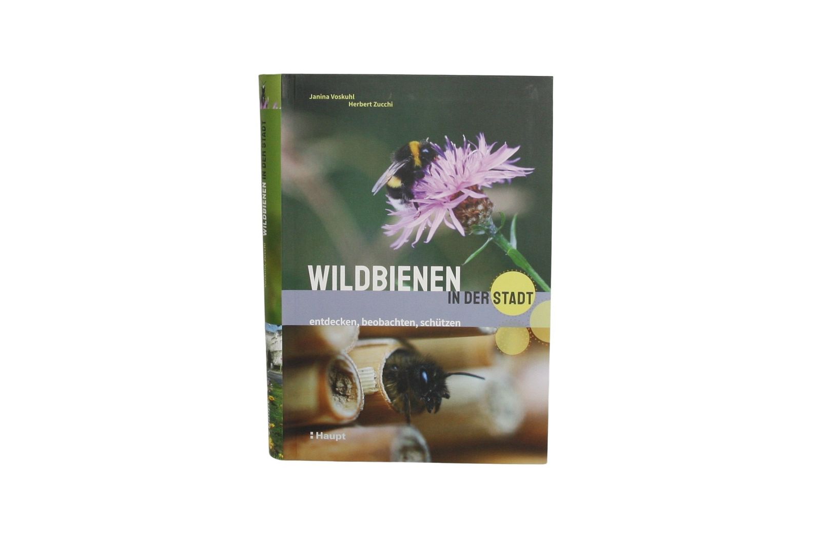 Wildbienen in der Stadt, Janina Voskuhl, Herbert Zucchi