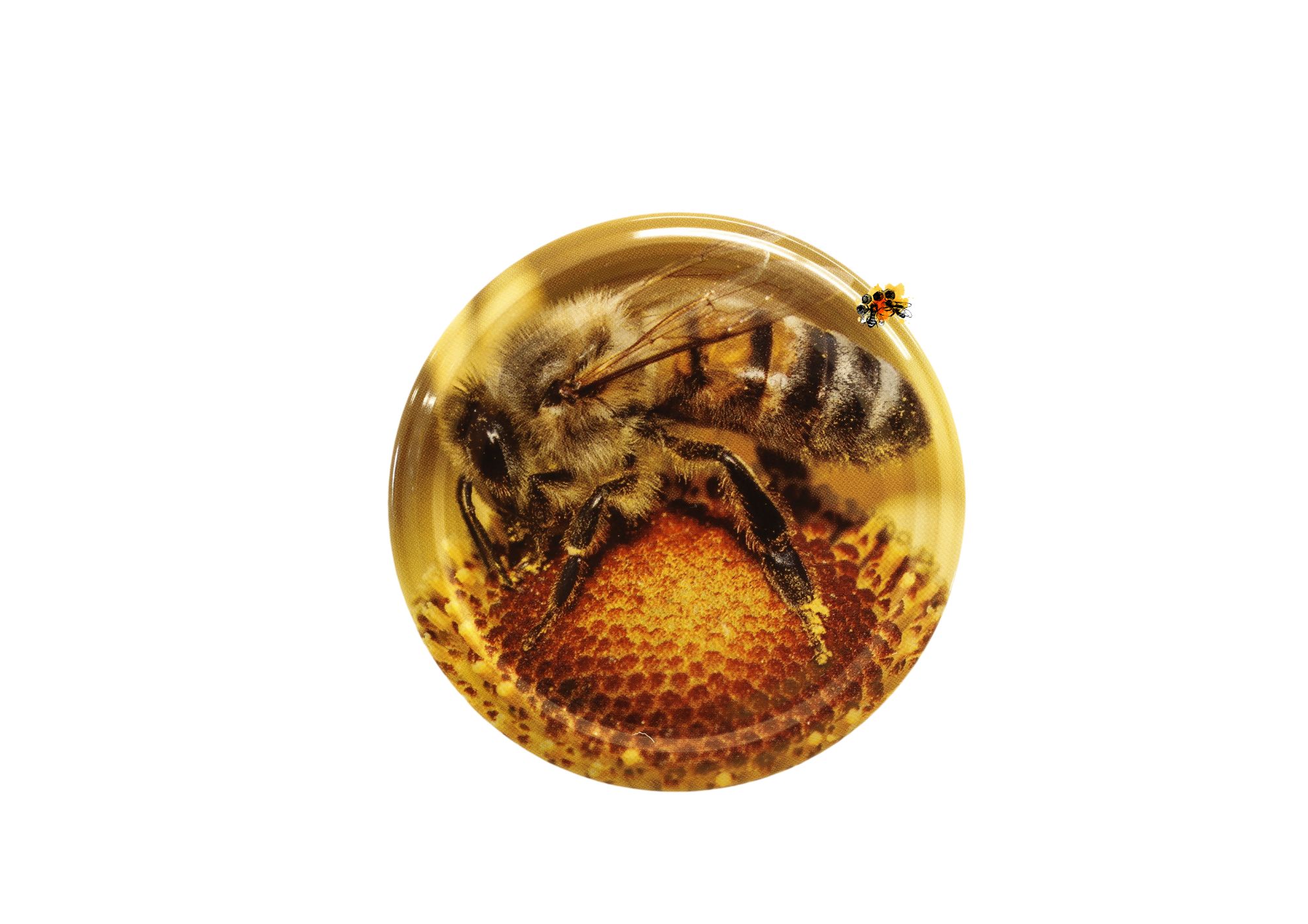Große Biene, natur TO-Verschluss  Ø 82 mm